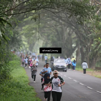 Runner Photo 7288133