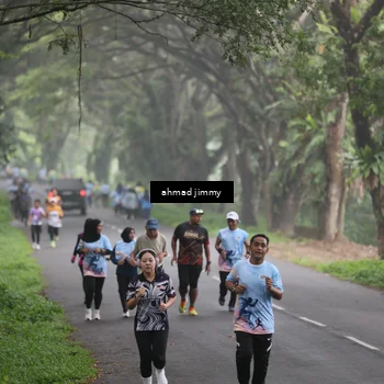 Runner Photo 7288200