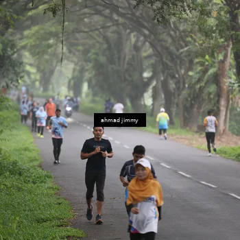 Runner Photo 7288312