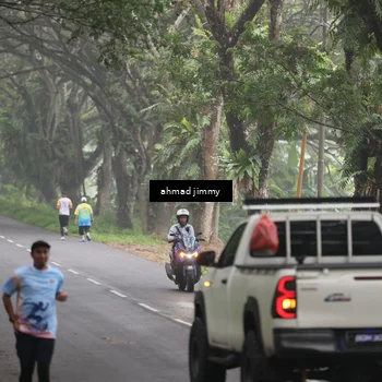 Runner Photo 7288365
