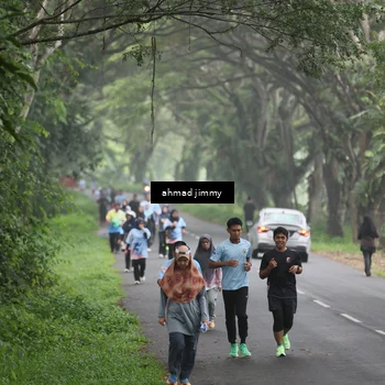 Runner Photo 7288472