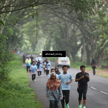 Runner Photo 7288485