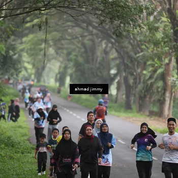 Runner Photo 7288673