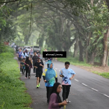 Runner Photo 7288677