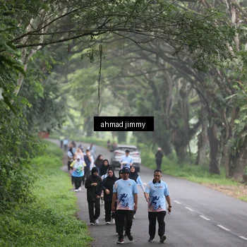 Runner Photo 7288742