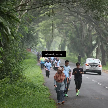 Runner Photo 7288777