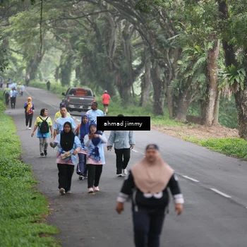 Runner Photo 7288988