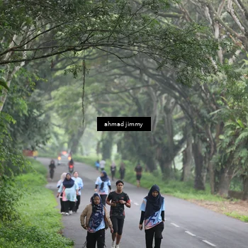 Runner Photo 7289173