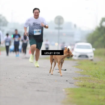 Runner Photo 7289176