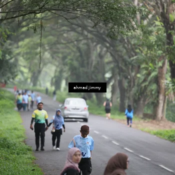 Runner Photo 7289701