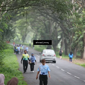 Runner Photo 7289933