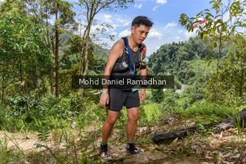 Runner Photo 72978