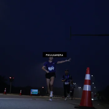 Runner Photo 7304042