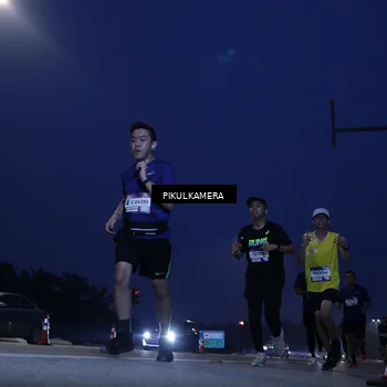 Runner Photo 7308840