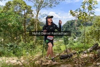 Runner Photo 73116