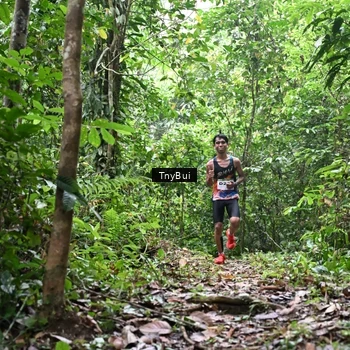 Runner Photo 7325704