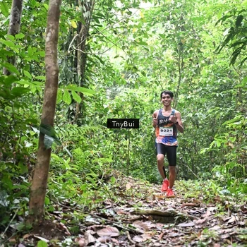 Runner Photo 7325716