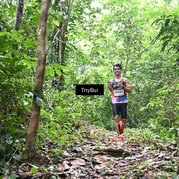 Runner Photo 7325797