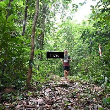 Runner Photo 7325815