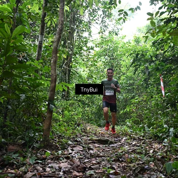 Runner Photo 7325830