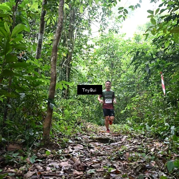 Runner Photo 7325832