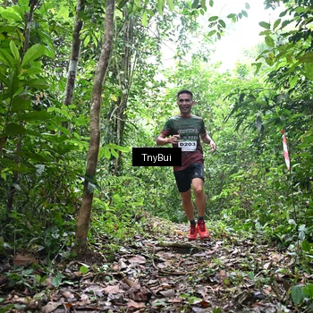 Runner Photo 7325841