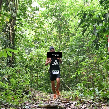 Runner Photo 7326334