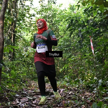 Runner Photo 7326713
