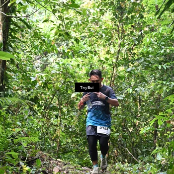 Runner Photo 7327280