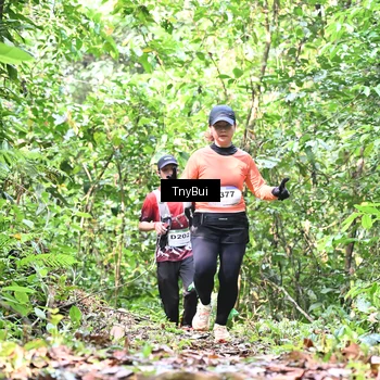 Runner Photo 7327767