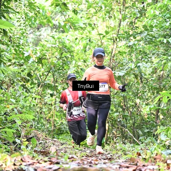 Runner Photo 7327768