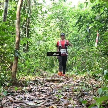 Runner Photo 7327859