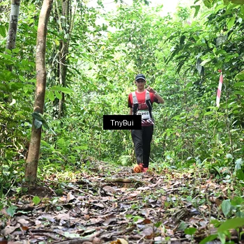 Runner Photo 7327870
