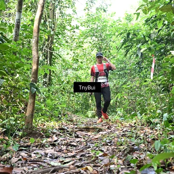 Runner Photo 7327888