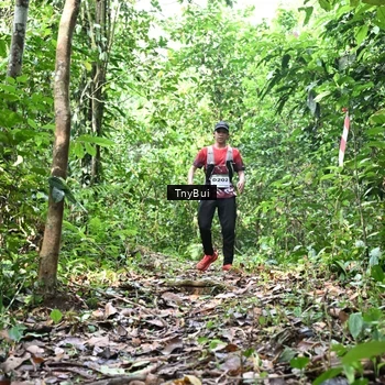 Runner Photo 7327911