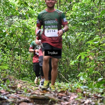 Runner Photo 7329595