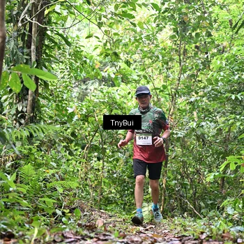 Runner Photo 7330116