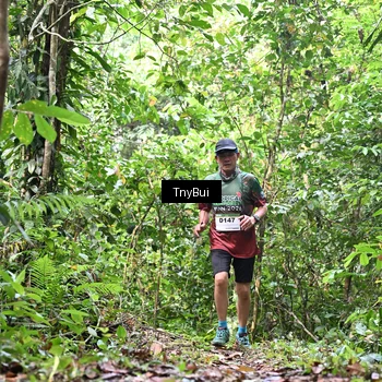 Runner Photo 7330118