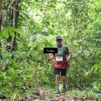 Runner Photo 7330138