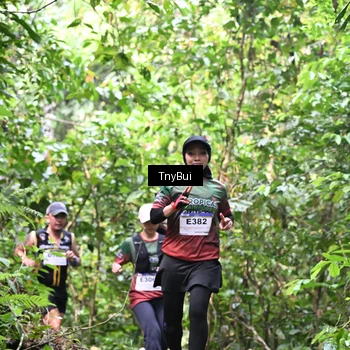 Runner Photo 7330433
