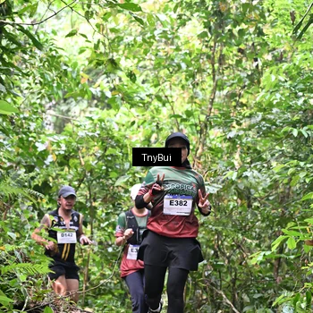 Runner Photo 7330437