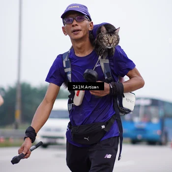 Runner Photo 7336083