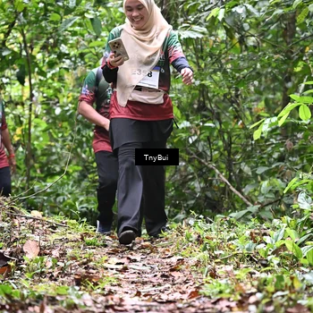Runner Photo 7336176