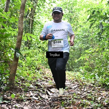 Runner Photo 7336538