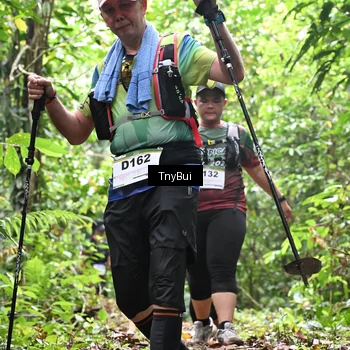 Runner Photo 7337036