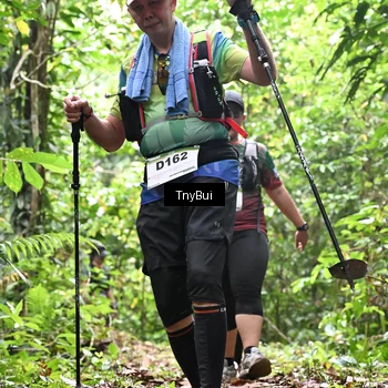 Runner Photo 7337040