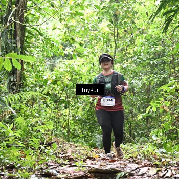 Runner Photo 7337140