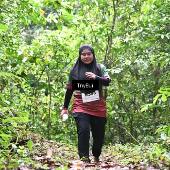 Runner Photo 7337167
