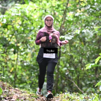 Runner Photo 7337201