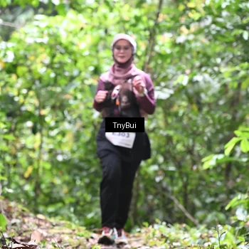 Runner Photo 7337224